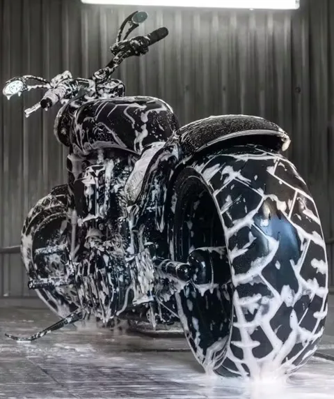 Motorcycle detailing service